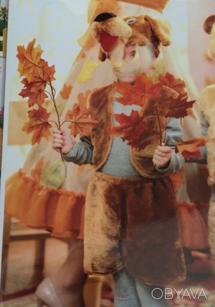 Карнавальный костюм на прокат "Собапка" на ребенка от 4 до 7 лет. Аренда 120 грн. . фото 1