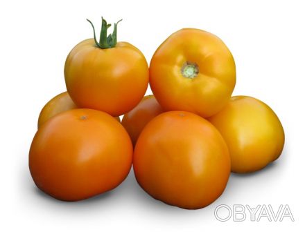 Предлагаем купить семена желтого томата KS 17 F1. 

Тип: Детерминантный. 

Р. . фото 1
