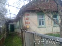 Продам дом в селе Певневщина (Городнянский р-н, Черниговская обл.) Площадь около. . фото 3