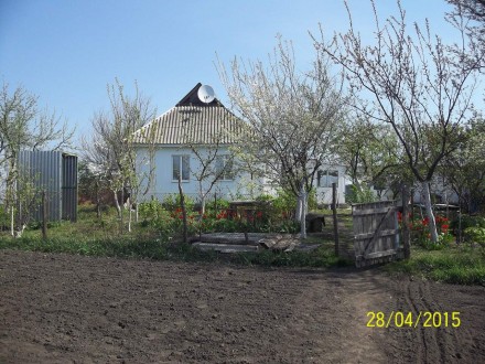 Продам дом в селе под Киевом. 70 км. Село Пологи. На участке все коммуникации. З. Пологи. фото 7