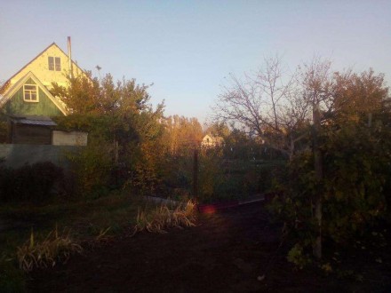 Дом находится в г. Канев, ул. Сосновая. Електричество 220V. Осенью пробита скваж. . фото 3