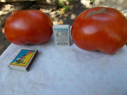 Продам семена томатов сорта Бабушкин секрет и Андреевский сюрприз. 1 упаковка - . . фото 7