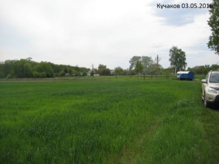 Продам земельный участок в селе Кучаков Лебедын,Бориспольского района .Не далеко. . фото 3
