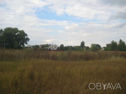 Продам земельный участок в селе Кучаков Лебедын,Бориспольского района .Не далеко. . фото 1