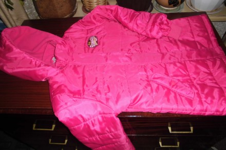 Куртка для девочки  на холодную весну или осень, б\у в отличном состоянии, с кап. . фото 2