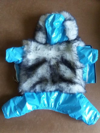 Чудная шубка с капюшоном голубого цвета из водоотталкивающей ткани для йоркширск. . фото 4