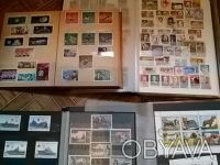 Продам Коллекцию Почтовых марок и наклеек 13000 шт. всех времен и народов. 17 ал. . фото 4