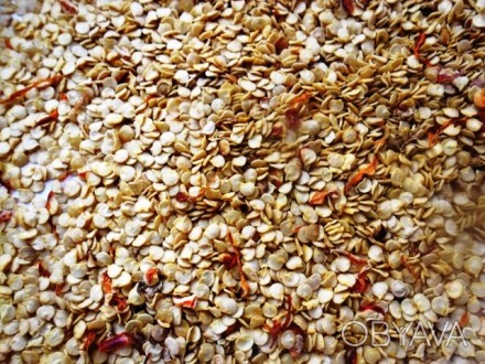 Продажа семян сортового горького стрючкового перца ЧИЛИ. 
Предлагаемый Вам сорт. . фото 1