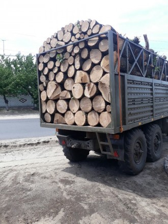 Продам дрова дубовые, чурки и колотые, уложенные, всегда в наличии, доставка и в. . фото 7
