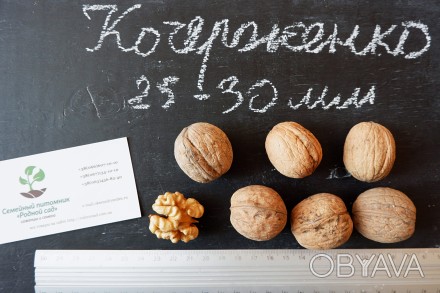 Если вы решили купить семена ореха Кочерженко, вам придётся учесть массу факторо. . фото 1
