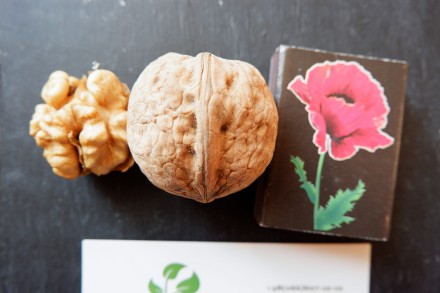 Если вы решили купить семена грецкого ореха Идеал, вам придётся учесть массу фак. . фото 2