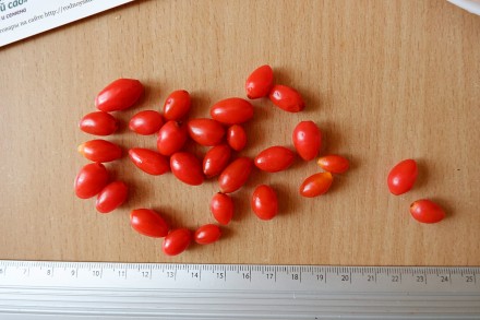 Если вы решили купить семена ягоды годжи, вам придётся учесть массу факторов, и . . фото 2