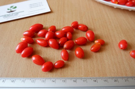 Если вы решили купить семена ягоды годжи, вам придётся учесть массу факторов, и . . фото 6