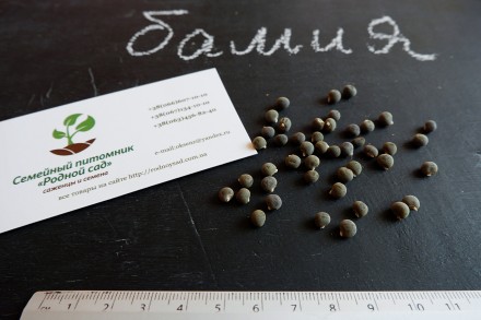 Если вы решили купить семена бамии (окры), вам придётся учесть массу факторов, и. . фото 3