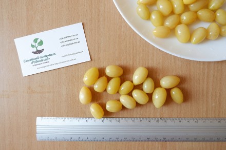 Если вы решили купить семена кизила жёлтого, вам придётся учесть массу факторов,. . фото 4