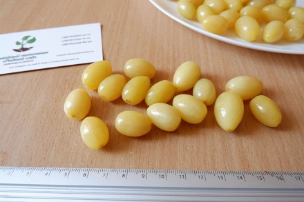 Если вы решили купить семена кизила жёлтого, вам придётся учесть массу факторов,. . фото 5