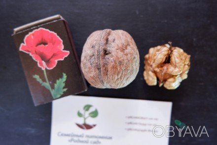 Если вы решили купить семена грецкого ореха Иван Багряный, вам придётся учесть м. . фото 1