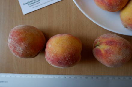 Если вы решили купить семена персика, вам придётся учесть массу факторов, и мы с. . фото 2