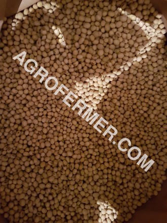 Семена сои ABEE Канадский трансгенный сорт. 

Cоя (Glycine max seeds.) ABEE тр. . фото 4