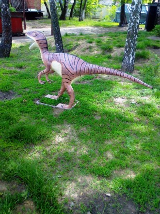 Юрский  период  на  5 кв. метрах!

Фигуры  динозавров  длиной  1-1,2 м,  высот. . фото 7