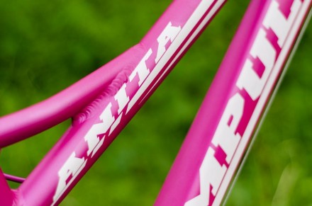 Велосипед Impuls Anita 24" розовый
Цвет Розовый
Диаметр колес 24 "
Размер рам. . фото 6