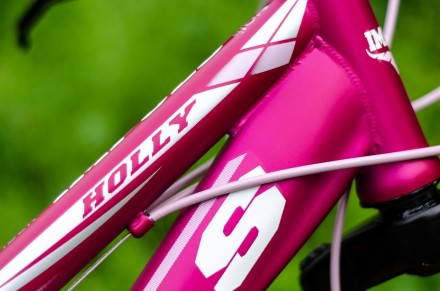 Велосипед детский спортивный Impuls Holly 24"

цвет малиновый
Диаметр колес 2. . фото 5