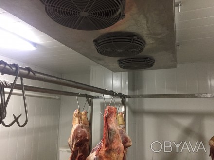 Проектирование и монтаж холодильных камер из сендвич панелей для охлаждения мяса. . фото 1
