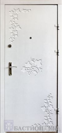 Двери Серии Офис Эконом 860Х2050 с наружной стороны метал в порошковой покраске . . фото 4
