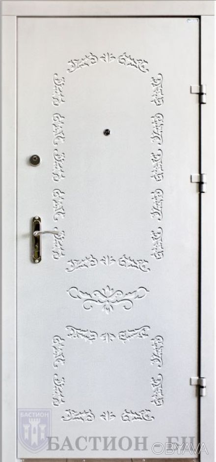 Двери Серии Офис Эконом 860Х2050 с наружной стороны метал в порошковой покраске . . фото 1