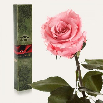 Долгосвежая роза Розовый Кварц 5 карат средний стебель (120265)
Удивительная роз. . фото 2