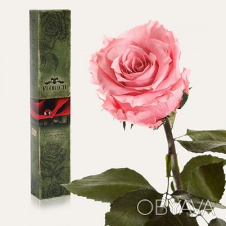 Долгосвежая роза Розовый Кварц 5 карат средний стебель (120265)
Удивительная роз. . фото 1