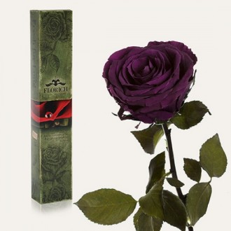 Долгосвежая роза Фиолетовый Аметист 7 карат средний стебель (120268)
Удивительна. . фото 2