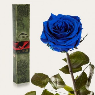 Долгосвежая роза Синий Сапфир 7 карат средний стебель (120269)
Удивительная роза. . фото 2