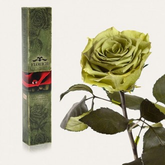 Долгосвежая роза Лаймовый Нефрит 7 карат средний стебель (120270)
Удивительная р. . фото 2
