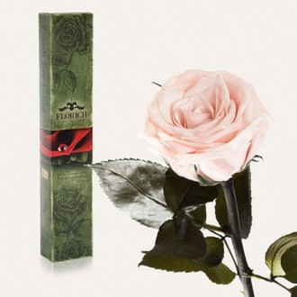 Долгосвежая роза Розовый Жемчуг 7 карат средний стебель (120273)
Удивительная ро. . фото 2