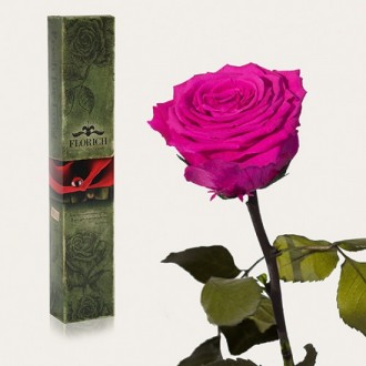 Долгосвежая роза Малиновый Родолит 7 карат средний стебель (120275)
Удивительная. . фото 2