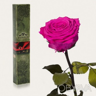 Долгосвежая роза Малиновый Родолит 7 карат средний стебель (120275)
Удивительная. . фото 1