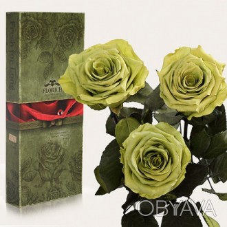 Три долгосвежих розы Лаймовый Нефрит 7 карат средний стебель (120305)
Удивительн. . фото 1