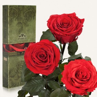 Три долгосвежих розы Красный Рубин 7 карат средний стебель (120312)
Удивительная. . фото 2