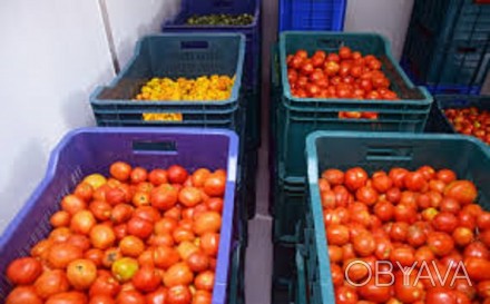 Продам холодильное оборудование для камеры хранения помидоров, овощей.
Оборудов. . фото 1