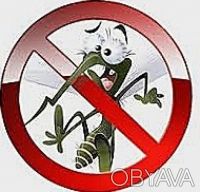 Москитные сетки-Лучшая защита от комаров и других вредных насекомых. . фото 2