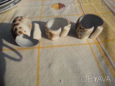 Оригинальные кольца для салфеток изготовлены из натуральных раковин тигровой цип. . фото 1
