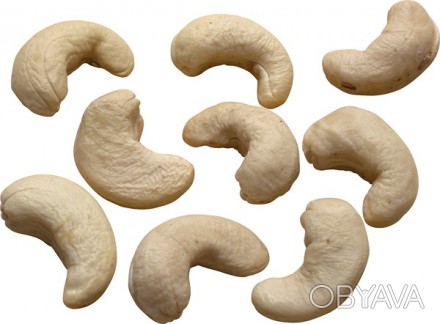 Продаём орех кешью
 в составе ореха содержатся витамины А, С, В1, В2, а также н. . фото 1