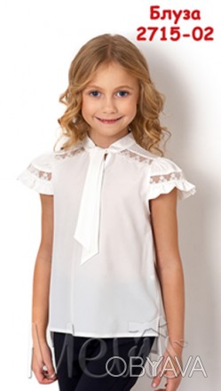 В магазині Стрекоза:

Блуза для дівчинки мол. шкільного віку ТМ Mavis , 2715-0. . фото 1