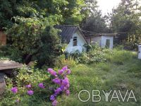 Старый сельский дом под дачу в живописном уголке Черкасской области. Рядом лес, . Воронинцы. фото 4