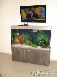 Предлагаю обслуживание аквариумов по Киеву и Киевской области. Осуществляется ка. . фото 3