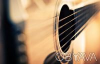 Уроки гитары в Одессе. Лианна Каушанская 
краткий курс для взрослых - пение пес. . фото 3