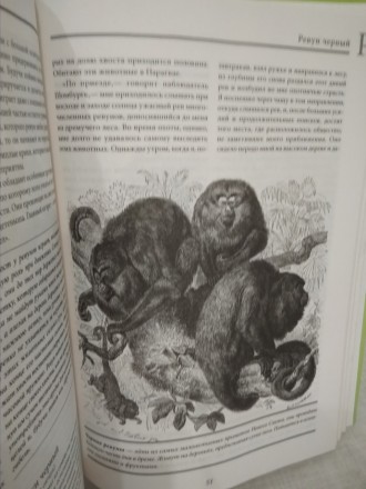 Книга интересная , поучительная . Там много информации про многих  животных .  К. . фото 6