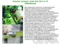 LR Aloe Vera Питьевой гель   со вкусом персика
Производство LR Health&Beauty Sy. . фото 6