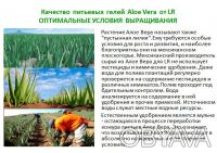 LR Aloe Vera Питьевой гель   со вкусом персика
Производство LR Health&Beauty Sy. . фото 5